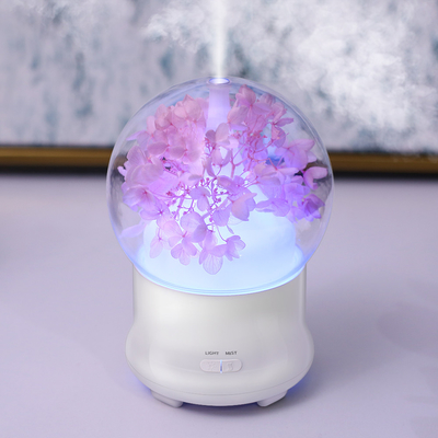 Portierbare Ultraschallkapazitäts-kühler Nebel-Luft-Befeuchter des aroma-Öl-Diffusor-100ml