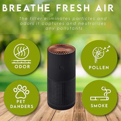 Negativer Ion Portable Air Purifier For Pollenallergie-Rauch H13 H12 HEPA