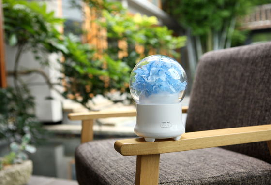 Aroma-Diffusor des LED-Licht-großer ätherischen Öls des Diffusor-100ml 30mL/H mit Direktübertragung